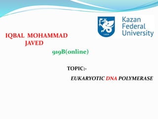IQBAL MOHAMMAD
JAVED
919B(online)
TOPIC:-
EUKARYOTIC DNA POLYMERASE
 
