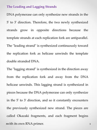 The Leading and Lagging Strands
DNA polymerase can only synthesize new strands in the
5' to 3' direction. Therefore, the two newly synthesized
strands grow in opposite directions because the
template strands at each replication fork are antiparallel.
The "leading strand" is synthesized continuously toward
the replication fork as helicase unwinds the template
double stranded DNA.
The "lagging strand" is synthesized in the direction away
from the replication fork and away from the DNA
helicase unwinds. This lagging strand is synthesized in
pieces because the DNA polymerase can only synthesize
in the 5' to 3' direction, and so it constantly encounters
the previously synthesized new strand. The pieces are
called Okazaki fragments, and each fragment begins
with its own RNA primer.
 