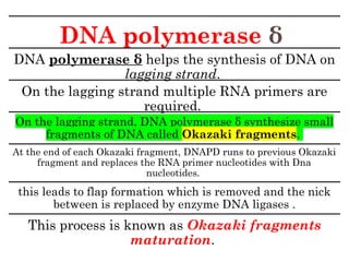 DNA polymerase δ
DNA polymerase δ helps the synthesis of DNA on
lagging strand.
On the lagging strand multiple RNA primers are
required.
On the lagging strand, DNA polymerase δ synthesize small
fragments of DNA called Okazaki fragments.
At the end of each Okazaki fragment, DNAPD runs to previous Okazaki
fragment and replaces the RNA primer nucleotides with Dna
nucleotides.
this leads to flap formation which is removed and the nick
between is replaced by enzyme DNA ligases .
This process is known as Okazaki fragments
maturation.
 