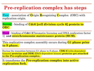 Pre-replication complex has steps
First - association of Origin Recognizing Complex (ORC) with
replication origin.
Second - binding of Cdc6 [cell division cycle 6] protein to
ORC
Third - binding of Cdt1 [Chromatin licensing and DNA replication factor
1] and minichromosome maintenance protein (MCM).
This replicative complex assembly occurs during G1 phase prior
to S phase.
During the transition between G1 phase to S phase, CDK [Cyclin-dependent
kinases] proteins and DDK [Dbf4-dependent kinase] proteins get attached
to the Pre-replication complex.
It transforms the Pre-replication complex into active
replication fork.
 