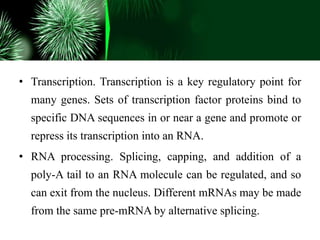 • Transcription. Transcription is a key regulatory point for
many genes. Sets of transcription factor proteins bind to
specific DNA sequences in or near a gene and promote or
repress its transcription into an RNA.
• RNA processing. Splicing, capping, and addition of a
poly-A tail to an RNA molecule can be regulated, and so
can exit from the nucleus. Different mRNAs may be made
from the same pre-mRNA by alternative splicing.
 