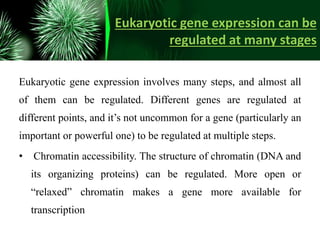 Eukaryotic gene expression can be
regulated at many stages
Eukaryotic gene expression involves many steps, and almost all
of them can be regulated. Different genes are regulated at
different points, and it’s not uncommon for a gene (particularly an
important or powerful one) to be regulated at multiple steps.
• Chromatin accessibility. The structure of chromatin (DNA and
its organizing proteins) can be regulated. More open or
“relaxed” chromatin makes a gene more available for
transcription
 