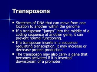 Transposons Stretches of DNA that can move from one location to another within the genome If a transposon “jumps” into the middle of a coding sequence of another gene, it can prevent normal functioning. If a transposon inserts in a sequence regulating transcription, it may increase or decrease protein production The transposon may also carry a gene that becomes activated if it is inserted downstream of a promoter. 
