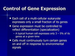 Control of Gene Expression Each cell of a multi-cellular eukaryote expresses only a small fraction of its genes Gene expression must be controlled to reflect differentiation (specialization) A typical human cell expresses only 3 – 5% of its genes at a given time Cells must continuously turn certain genes on and off in response to environmental signals 