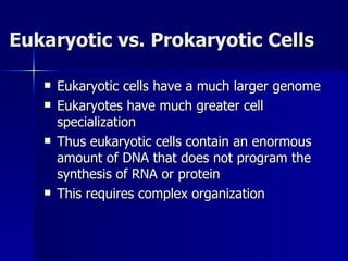 Eukaryotic vs. Prokaryotic Cells Eukaryotic cells have a much larger genome Eukaryotes have much greater cell specialization Thus eukaryotic cells contain an enormous amount of DNA that does not program the synthesis of RNA or protein This requires complex organization 