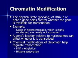 Chromatin Modification The physical state (packing) of DNA in or near a gene helps control whether the gene is available for transcription Example:  Genes in heterochromatin, which is highly condensed, are usually not expressed A gene’s location relative to nucleosomes can affect whether it is transcribed Chemical modifications of chromatin help regulate transcription: DNA methylation Histone acrtyylation 