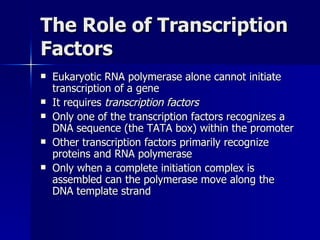 The Role of Transcription Factors Eukaryotic RNA polymerase alone cannot initiate transcription of a gene It requires  transcription factors Only one of the transcription factors recognizes a DNA sequence (the TATA box) within the promoter Other transcription factors primarily recognize proteins and RNA polymerase Only when a complete initiation complex is assembled can the polymerase move along the DNA template strand 