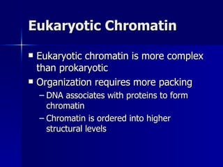 Eukaryotic Chromatin Eukaryotic chromatin is more complex than prokaryotic Organization requires more packing DNA associates with proteins to form chromatin Chromatin is ordered into higher structural levels 