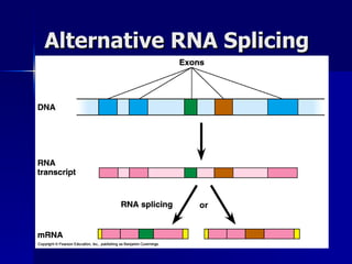 Alternative RNA Splicing 