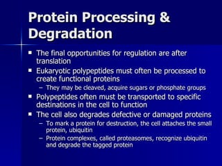 Protein Processing & Degradation The final opportunities for regulation are after translation Eukaryotic polypeptides must often be processed to create functional proteins They may be cleaved, acquire sugars or phosphate groups Polypeptides often must be transported to specific destinations in the cell to function The cell also degrades defective or damaged proteins To mark a protein for destruction, the cell attaches the small protein, ubiquitin Protein complexes, called proteasomes, recognize ubiquitin and degrade the tagged protein 