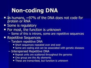 Non-coding DNA In humans, ~97% of the DNA does not code for protein or RNA Some is regulatory For most, the function is unknown Some of this is introns, some are repetitive sequences  Repetitive Sequences Tandem repetitive DNA  Short sequences repeated over and over Some are coding and can be associated with genetic diseases Interspersed Repetitive DNA Repeat units are scattered throughout the genome One group are the Alu elements These are transcribed, but function is unknown 