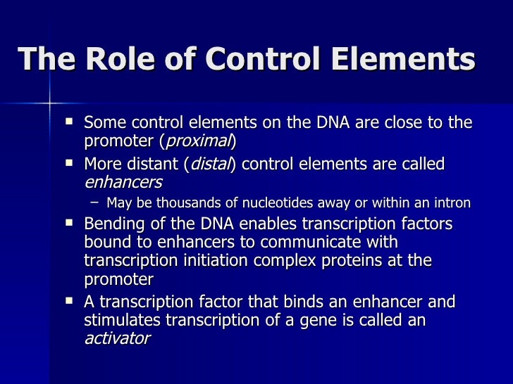 Eukaryotic Gene Regulation