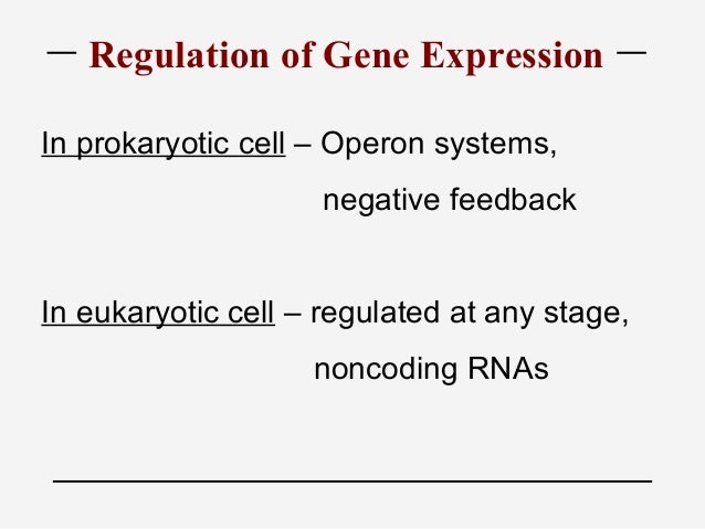 A Transcriptional Activation System For Regulated Gene