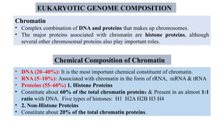 Chromatin
• Complex combination of DNA and proteins that makes up chromosomes.
• The major proteins associated with chromatin are histone proteins, although
several other chromosomal proteins also play important roles.
EUKARYOTIC GENOME COMPOSITION
• DNA (20–40%): It is the most important chemical constituent of chromatin.
• RNA (5–10%): Associated with chromatin in the form of rRNA, mRNA & tRNA
• Proteins (55–60%) 1. Histone Proteins
• Constitute about 60% of the total chromatin proteins & Present in an almost 1:1
ratio with DNA. Five types of histones: H1 H2A H2B H3 H4
• 2. Non-Histone Proteins
• Constitute about 20% of the total chromatin proteins.
Chemical Composition of Chromatin
 
