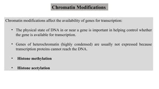Chromatin Modifications
Chromatin modifications affect the availability of genes for transcription:
• The physical state of DNA in or near a gene is important in helping control whether
the gene is available for transcription.
• Genes of heterochromatin (highly condensed) are usually not expressed because
transcription proteins cannot reach the DNA.
• Histone methylation
• Histone acetylation
 