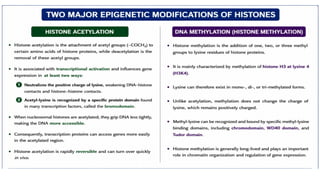 Comprehensive Overview of Eukaryotic Genome Structure and Chromatin Organization