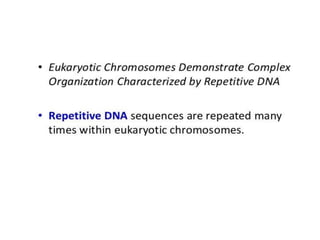 Eukaryotic genome organization
