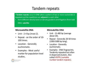 Eukaryotic genome organization