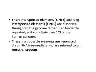 Eukaryotic genome organization
