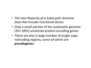 Eukaryotic genome organization