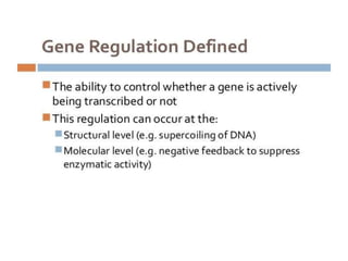 Eukaryotic genome organization