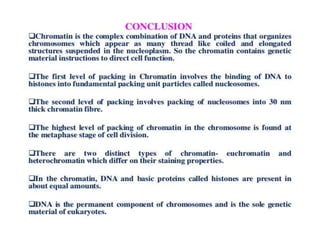 Eukaryotic genome organization