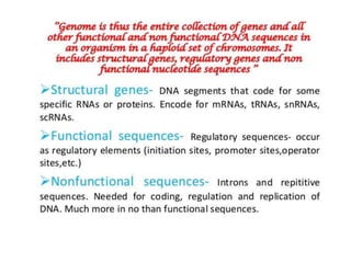 Eukaryotic genome organization