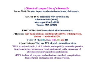 Eukaryotic genome organization