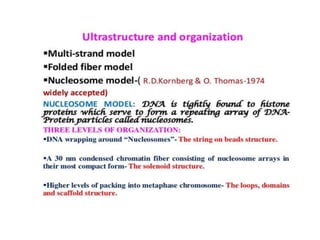 Eukaryotic genome organization