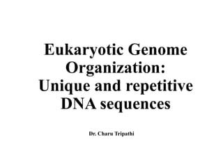 Eukaryotic Genome
Organization:
Unique and repetitive
DNA sequences
Dr. Charu Tripathi
 