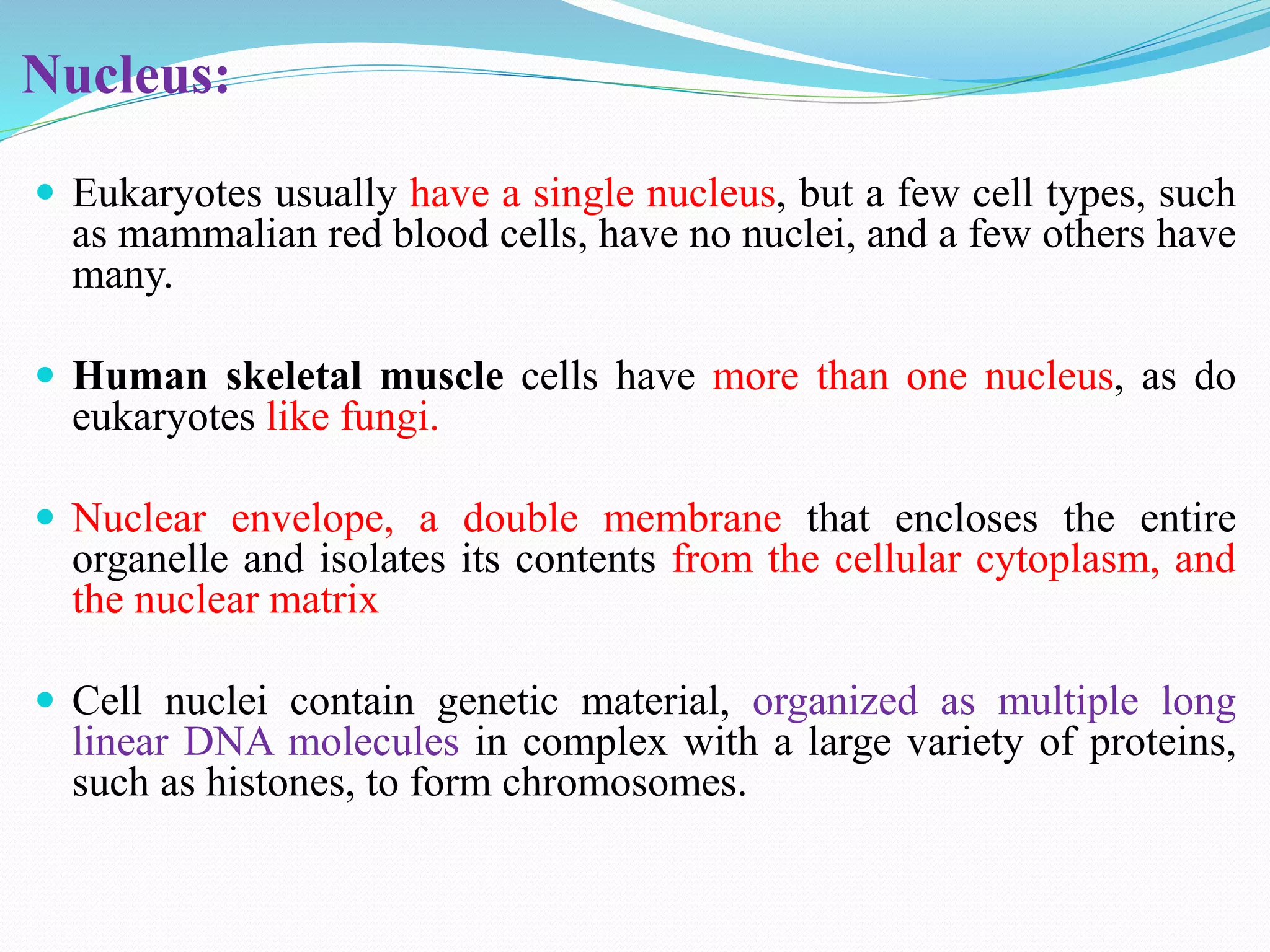 Eukaryotic microorganisms salient features | PPTX