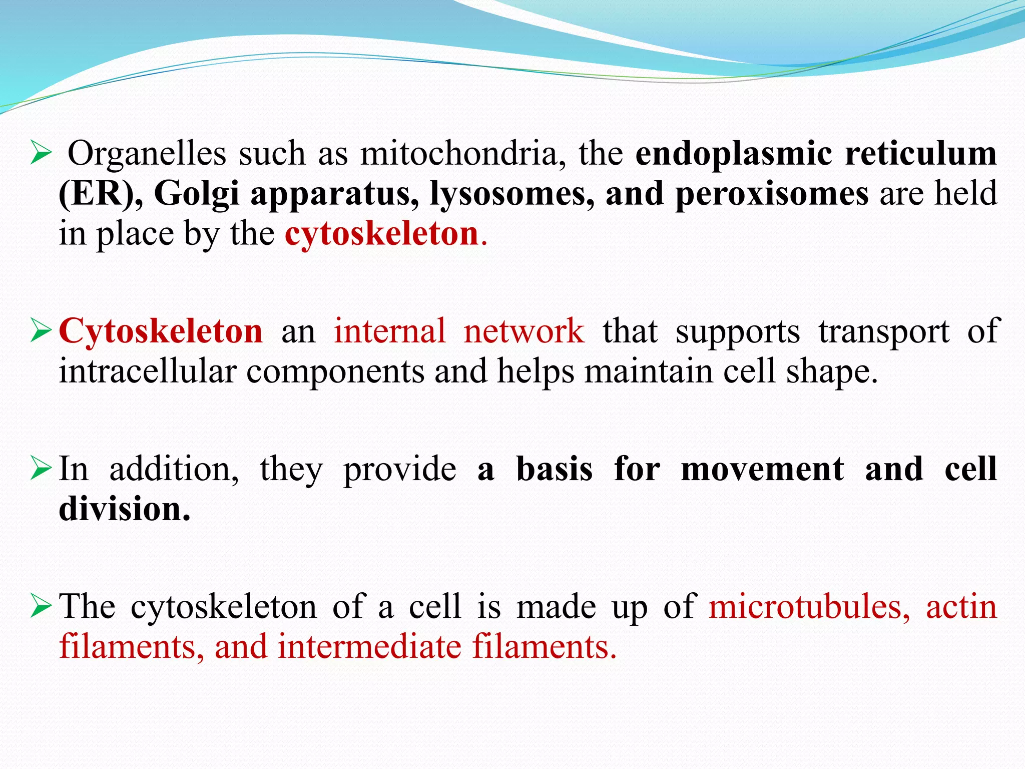 Eukaryotic microorganisms salient features | PPTX