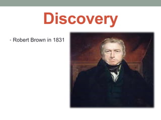 Discovery
• Robert Brown in 1831
 