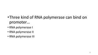•Three kind of RNA polymerase can bind on
promoter…
• RNA polymerase I
• RNA polymerase II
• RNA polymerase III
4
 