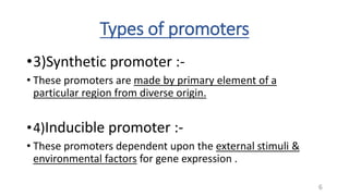 Types of promoters
•3)Synthetic promoter :-
• These promoters are made by primary element of a
particular region from diverse origin.
•4)Inducible promoter :-
• These promoters dependent upon the external stimuli &
environmental factors for gene expression .
6
 
