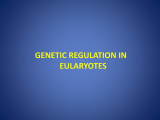 GENETIC REGULATION IN
EULARYOTES
 
