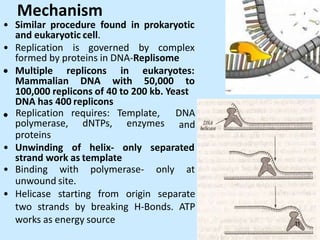 Mechanism
• Similar procedure found in prokaryotic
and eukaryotic cell.
• Replication is governed by complex
formed by proteins in DNA-Replisome
 Multiple replicons in eukaryotes:
Mammalian DNA with 50,000 to
100,000 replicons of 40 to 200 kb. Yeast
DNA has 400 replicons
 Replication requires: Template, DNA
and
polymerase, dNTPs, enzymes
proteins
• Unwinding of helix- only separated
strand work as template
• Binding with polymerase- only at
unwound site.
• Helicase starting from origin separate
two strands by breaking H-Bonds. ATP
works as energy source 11
 