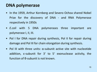 DNA polymerase
• In the 1959, Arthur Kornberg and Severo Ochoa shared Nobel
Prize for the discovery of DNA - and RNA Polymerase
respectively in 1950s
• E.coli with 5 DNA polymerases three important are
polymerase I, II, III.
• Pol I for DNA repair during synthesis, Pol II for repair during
damage and Pol III for chain elongation during synthesis.
• Pol III with three units: α-subunit active site with nucleotide
addition, ε-subunit for 3‘ to 5‘ exonuclease activity, the
function of θ-subunit is not known.
15
 