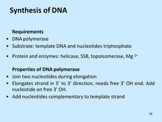 Synthesis of DNA
Requirements
• DNA polymerase
• Substrate: template DNA and nucleotides triphosphate
• Protein and enzymes: helicase, SSB, topoisomerase, Mg 2+
Properties of DNA polymerase
• Join two nucleotides during elongation
• Elongates strand in 5’ to 3’ direction, needs free 3’ OH end. Add
nucleotide on free 3’ OH.
• Add nucleotides complementary to template strand
19
 