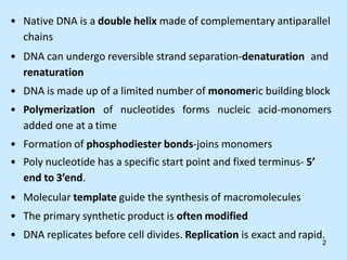 • Native DNA is a double helix made of complementary antiparallel
chains
• DNA can undergo reversible strand separation-denaturation and
renaturation
• DNA is made up of a limited number of monomeric building block
• Polymerization of nucleotides forms nucleic acid-monomers
added one at a time
• Formation of phosphodiester bonds-joins monomers
• Poly nucleotide has a specific start point and fixed terminus- 5’
end to 3’end.
• Molecular template guide the synthesis of macromolecules
• The primary synthetic product is often modified
• DNA replicates before cell divides. Replication is exact and rapid.
2
 