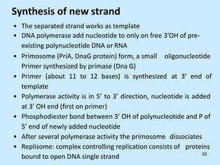 Synthesis of new strand
• The separated strand works as template
• DNA polymerase add nucleotide to only on free 3’OH of pre-
existing polynucleotide DNA or RNA
• Primosome (PriA, DnaG protein) form, a small oligonucleotide
Primer synthesized by primase (Dna G)
• Primer (about 11 to 12 bases) is synthesized at 3’ end of
template
• Polymerase activity is in 5’ to 3’ direction, nucleotide is added
at 3’ OH end (first on primer)
• Phosphodiester bond between 3’ OH of polynucleotide and P of
5’ end of newly added nucleotide
• After several polymerase activity the primosome dissociates
• Replisome: complex controlling replication consists of proteins
bound to open DNA single strand 20
 