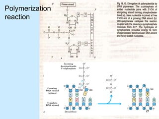 Polymerization
reaction
21
 