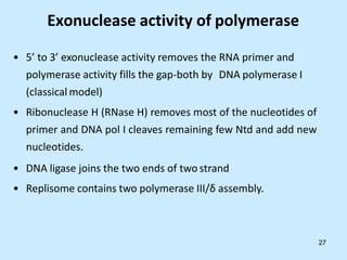 Exonuclease activity of polymerase
• 5’ to 3’ exonuclease activity removes the RNA primer and
polymerase activity fills the gap-both by DNA polymerase I
(classical model)
• Ribonuclease H (RNase H) removes most of the nucleotides of
primer and DNA pol I cleaves remaining few Ntd and add new
nucleotides.
• DNA ligase joins the two ends of two strand
• Replisome contains two polymerase III/δ assembly.
27
 
