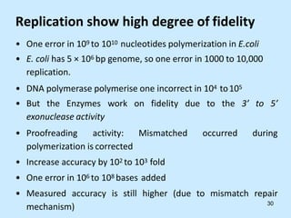 Replication show high degree of fidelity
• One error in 109 to 1010 nucleotides polymerization in E.coli
• E. coli has 5 × 106 bp genome, so one error in 1000 to 10,000
replication.
• DNA polymerase polymerise one incorrect in 104 to105
• But the Enzymes work on fidelity due to the 3’ to 5’
exonuclease activity
• Proofreading activity: Mismatched occurred during
polymerization is corrected
• Increase accuracy by 102 to 103 fold
• One error in 106 to 108 bases added
• Measured accuracy is still higher (due to mismatch repair
mechanism) 30
 