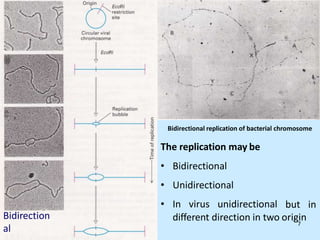 Bidirectional replication of bacterial chromosome
Bidirection
al
The replication may be
• Bidirectional
• Unidirectional
• In virus unidirectional but in
different direction in two origin
7
 