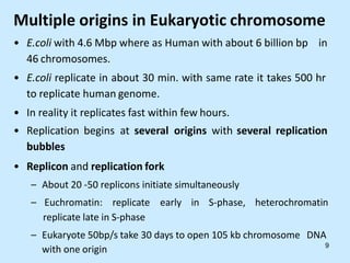 Multiple origins in Eukaryotic chromosome
• E.coli with 4.6 Mbp where as Human with about 6 billion bp in
46 chromosomes.
• E.coli replicate in about 30 min. with same rate it takes 500 hr
to replicate human genome.
• In reality it replicates fast within few hours.
• Replication begins at several origins with several replication
bubbles
• Replicon and replication fork
– About 20 -50 replicons initiate simultaneously
– Euchromatin: replicate early in S-phase, heterochromatin
replicate late in S-phase
– Eukaryote 50bp/s take 30 days to open 105 kb chromosome DNA
with one origin 9
 