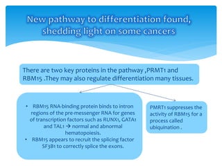 Eukaryotic RNA processing: alternative RNA splicing | PDF