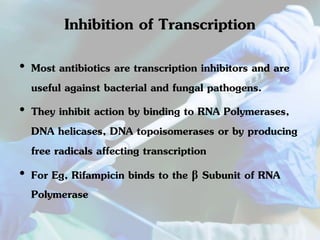 Inhibition of Transcription 
• Most antibiotics are transcription inhibitors and are 
useful against bacterial and fungal pathogens. 
• They inhibit action by binding to RNA Polymerases, 
DNA helicases, DNA topoisomerases or by producing 
free radicals affecting transcription 
• For Eg, Rifampicin binds to the β Subunit of RNA 
Polymerase 
 