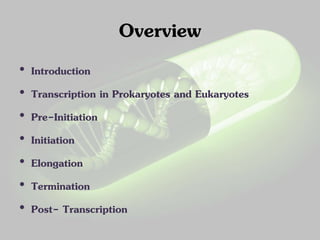 Overview 
• Introduction 
• Transcription in Prokaryotes and Eukaryotes 
• Pre-Initiation 
• Initiation 
• Elongation 
• Termination 
• Post- Transcription 
 