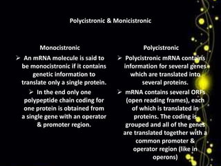 Polycistronic & Monicistronic 
Monocistronic 
 An mRNA molecule is said to 
be monocistronic if it contains 
genetic information to 
translate only a single protein. 
 In the end only one 
polypeptide chain coding for 
one protein is obtained from 
a single gene with an operator 
& promoter region. 
Polycistronic 
 Polycistronic mRNA contains 
information for several genes 
which are translated into 
several proteins. 
 mRNA contains several ORFs 
(open reading frames), each 
of which is translated in 
proteins. The coding is 
grouped and all of the genes 
are translated together with a 
common promoter & 
operator region (like in 
operons) 
 